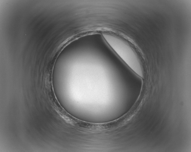 X0000080660881200612150732