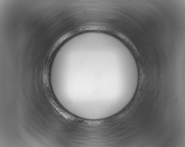 X0000080660882200612150732