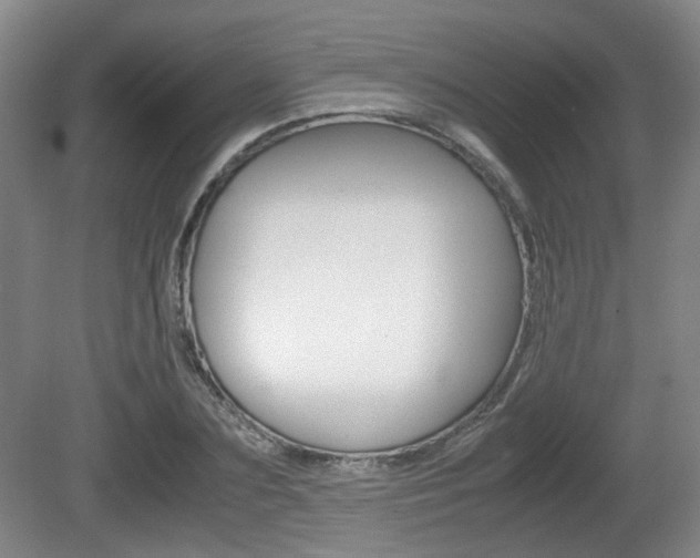 X0000080660883200612150732