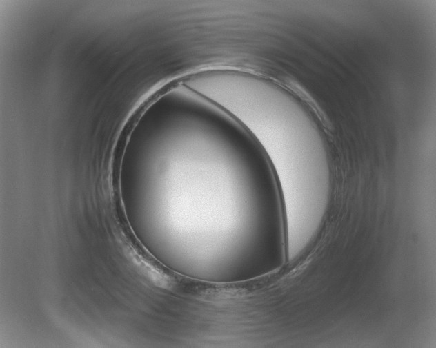 X0000080660884200612150732