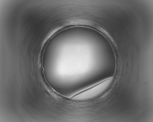 X0000080660885200612150732