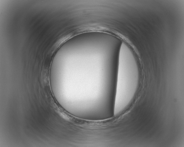 X0000080660889200612150732