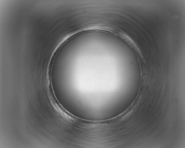 X0000080660892200612150732