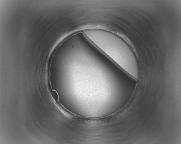 X0000080660894200612150732