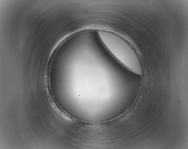 X0000080660896200612150732