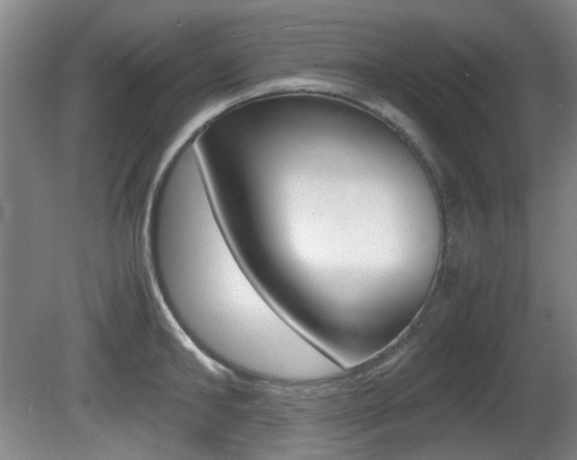 X0000080660902200612150732