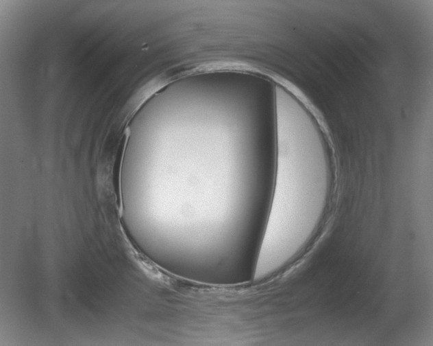 X0000080660905200612150732