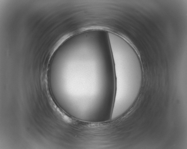 X0000080660906200612150732
