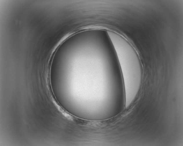 X0000080660909200612150732