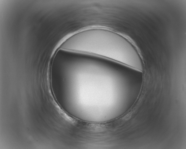 X0000080660910200612150732