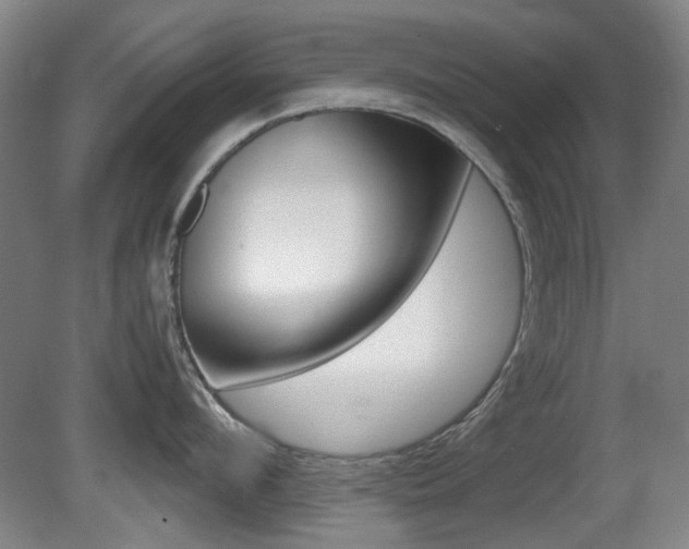 X0000080660912200612150732