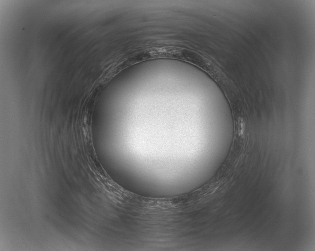 X0000080660915200612150731