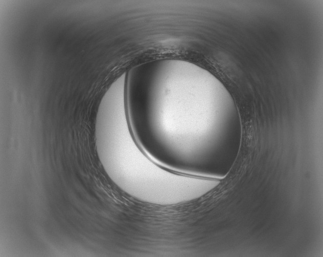 X0000080660916200612150731