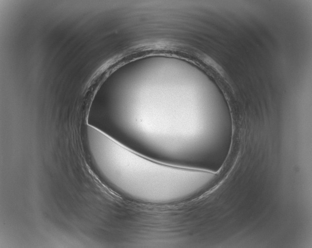 X0000080660922200612150731