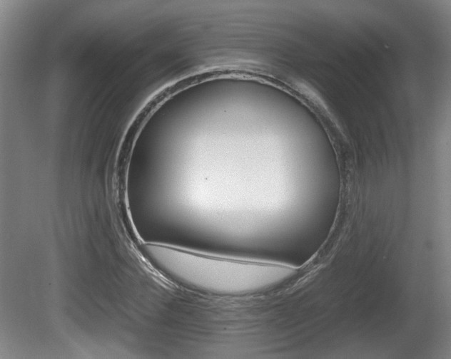 X0000080660924200612150731