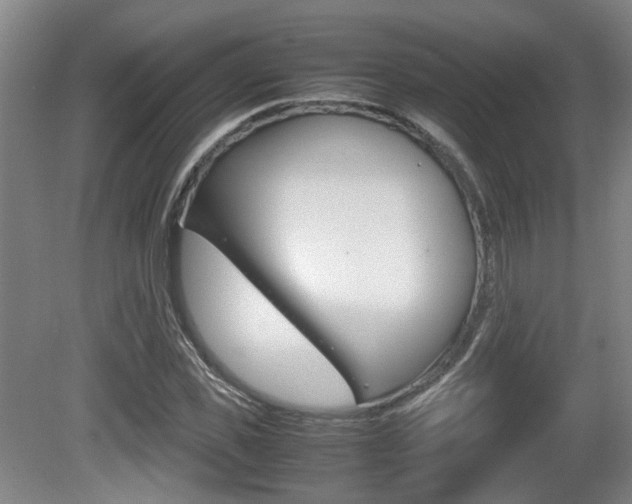 X0000080660925200612150731