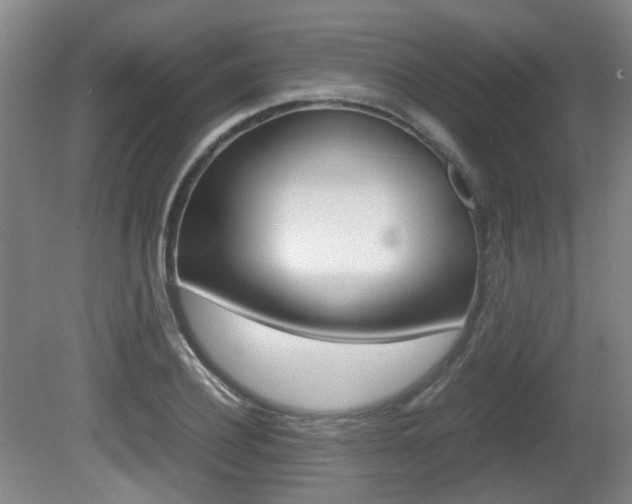 X0000080660932200612150731