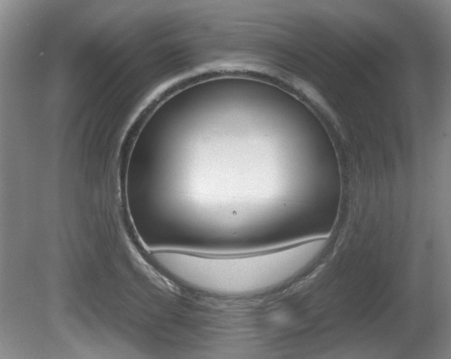 X0000080660934200612150731