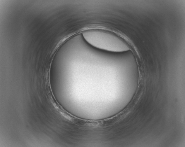 X0000080660937200612150731