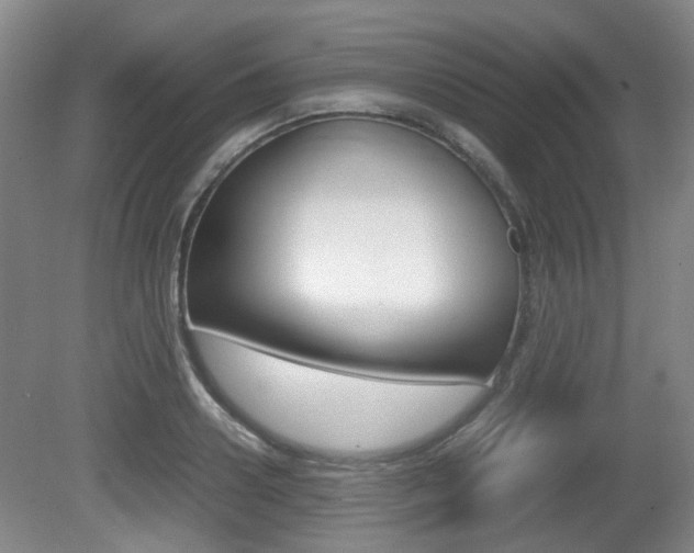 X0000080660938200612150731
