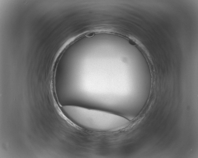 X0000080660941200612150731