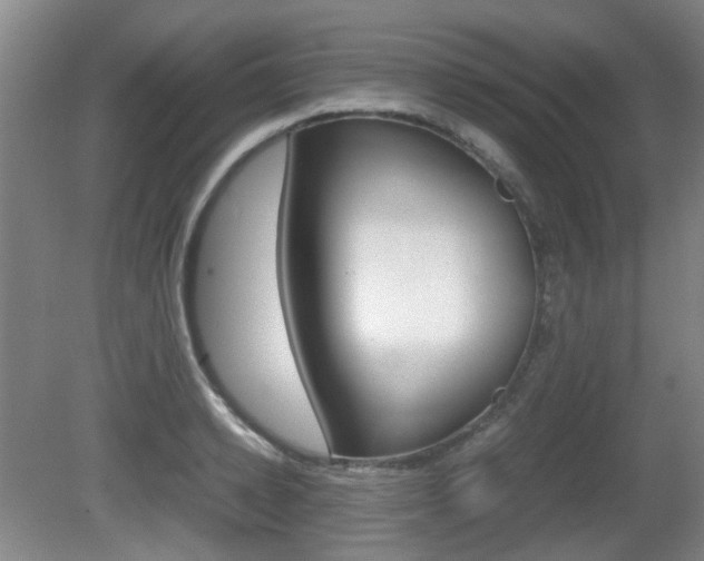 X0000080660942200612150731