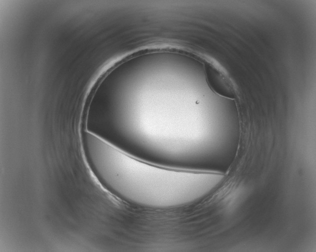 X0000080660943200612150731