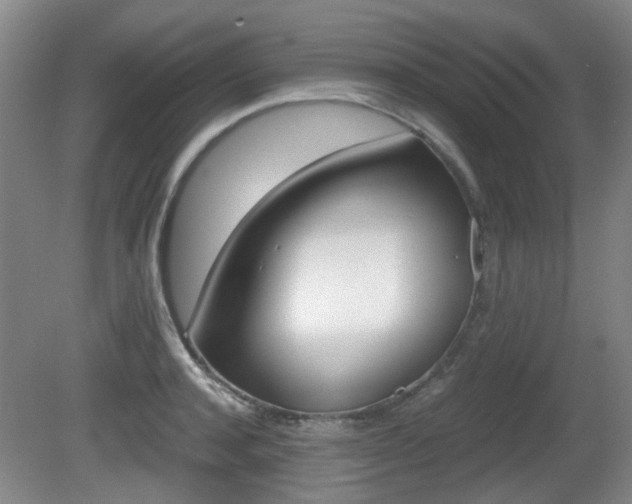 X0000080660944200612150731