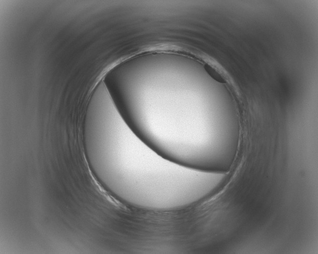 X0000080660945200612150732