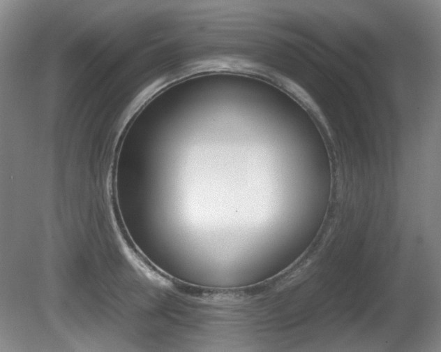 X0000080660946200612150732