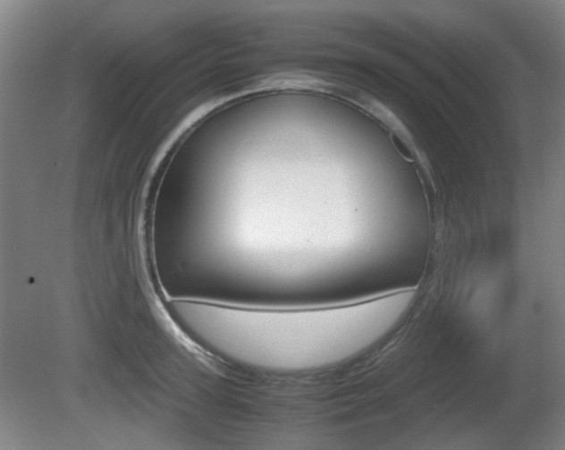 X0000080660947200612150732