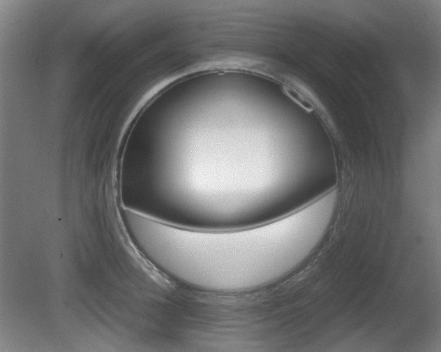X0000080660948200612150732