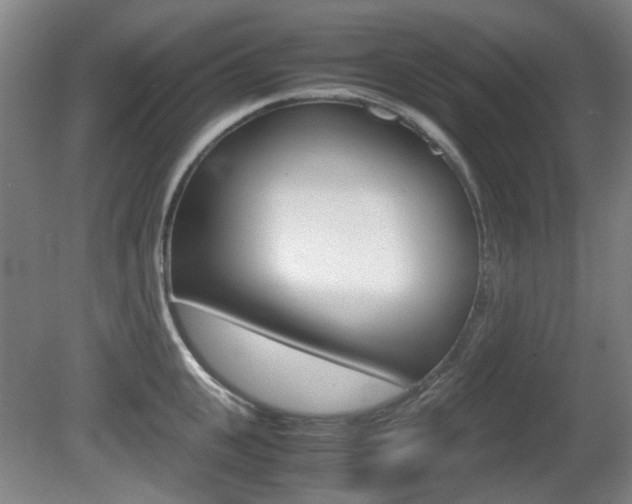 X0000080660951200612150732