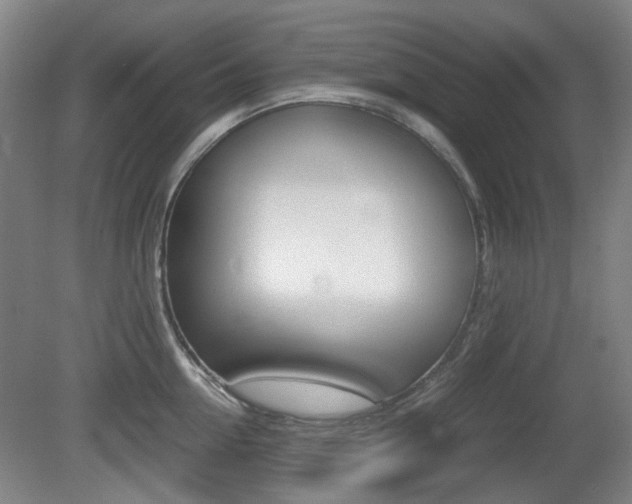 X0000080660954200612150732