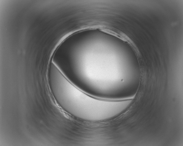 X0000080660956200612150732