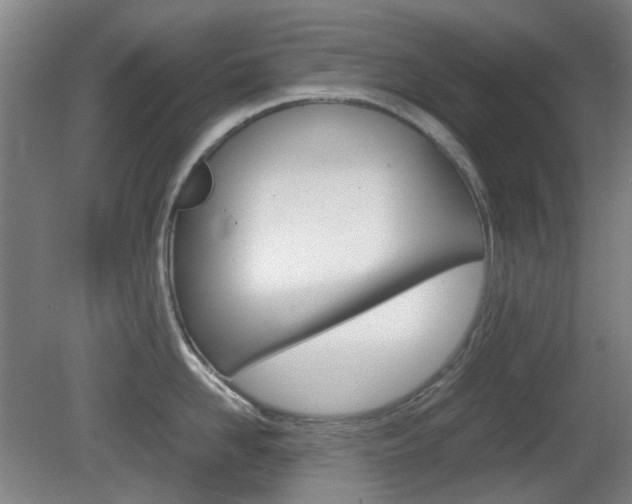 X0000080660958200612150732