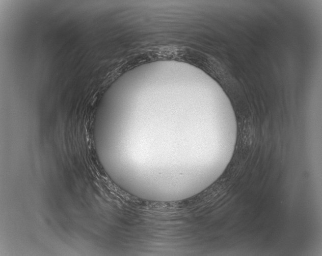X0000080660962200612150731