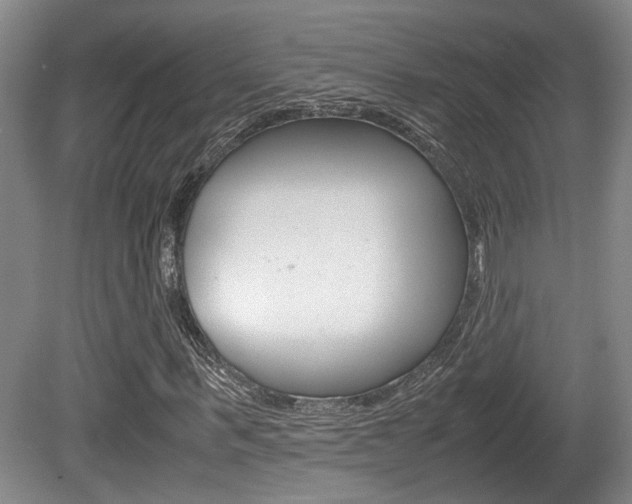 X0000080660963200612150731
