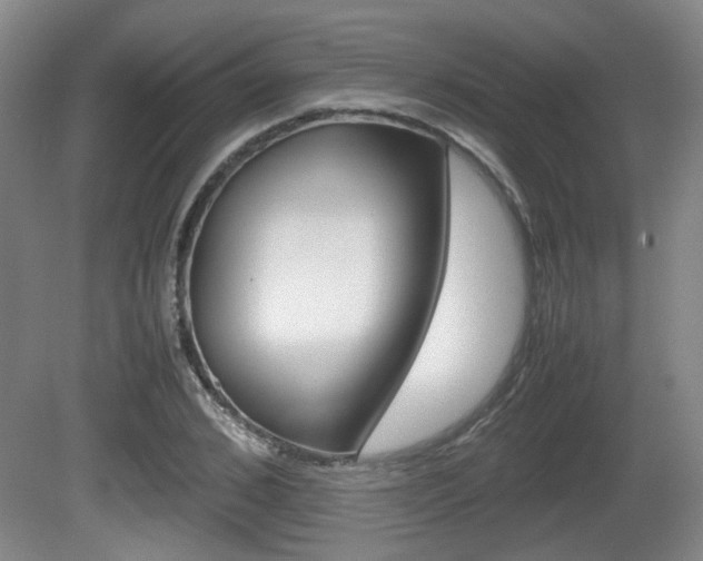 X0000080660976200612150731