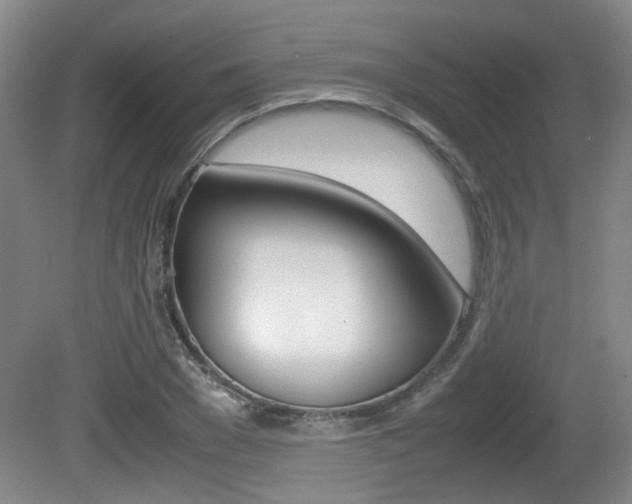 X0000080660977200612150731