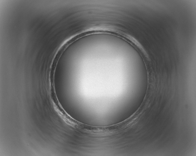 X0000080660980200612150731