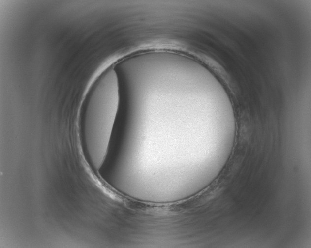X0000080660990200612150730