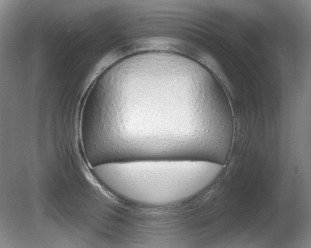 X0000080660994200612150730