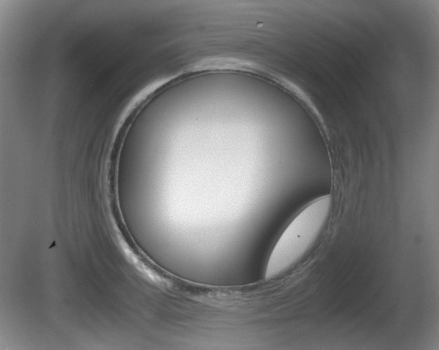 X0000080660995200612150730