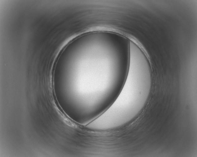 X0000080660996200612150730