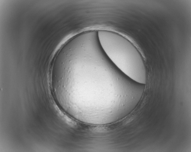 X0000080660998200612150730