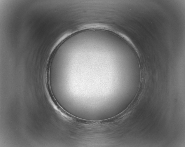 X0000080660999200612150730