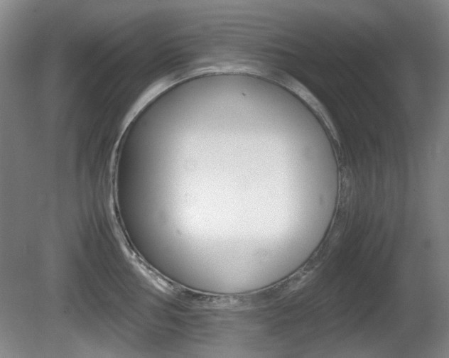 X0000080661002200612150730
