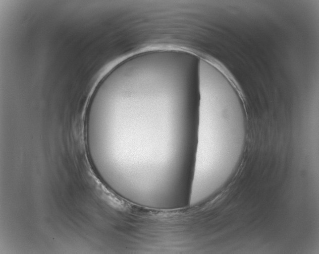 X0000080661004200612150730