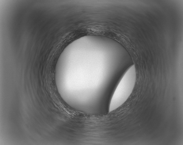 X0000080661009200612150729